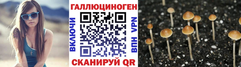Псилоцибиновые грибы мухоморы Невельск