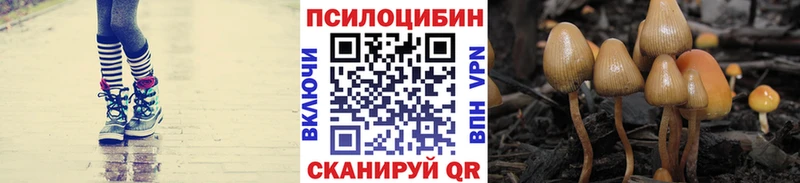 Купить закладки  Невельск  Псилоцибиновые грибы MAGIC MUSHROOMS 